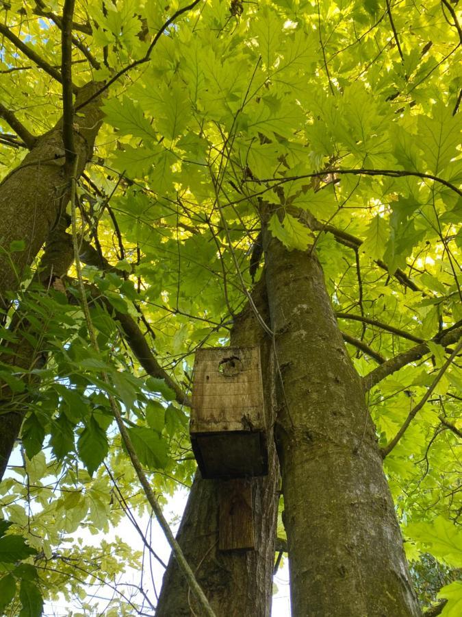 Locanda Del Molino Vecchio Magliano Alfieri Zewnętrze zdjęcie