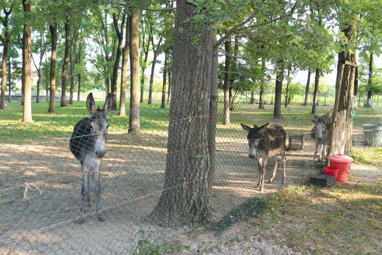 Locanda Del Molino Vecchio Magliano Alfieri Zewnętrze zdjęcie