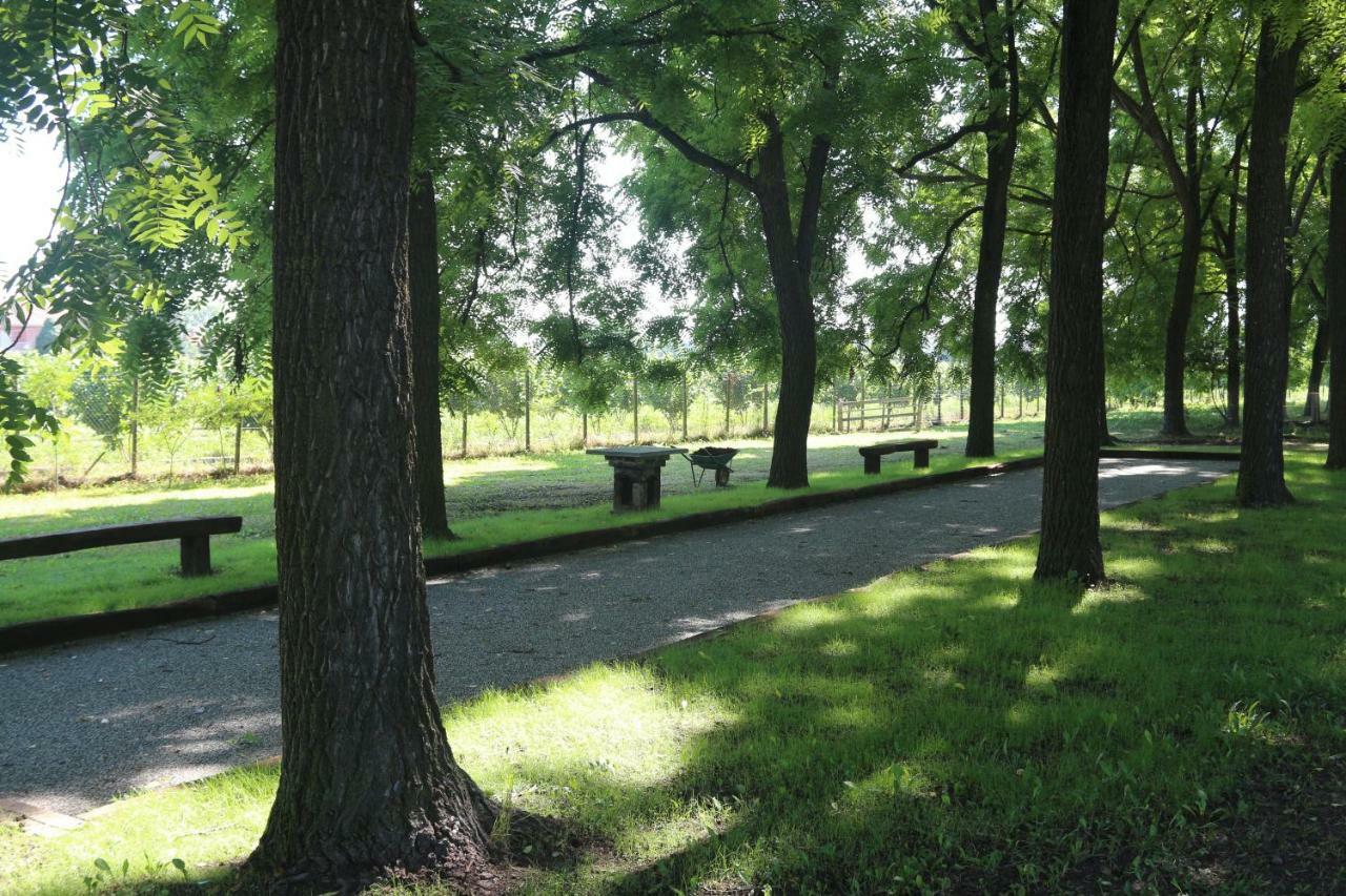 Locanda Del Molino Vecchio Magliano Alfieri Zewnętrze zdjęcie